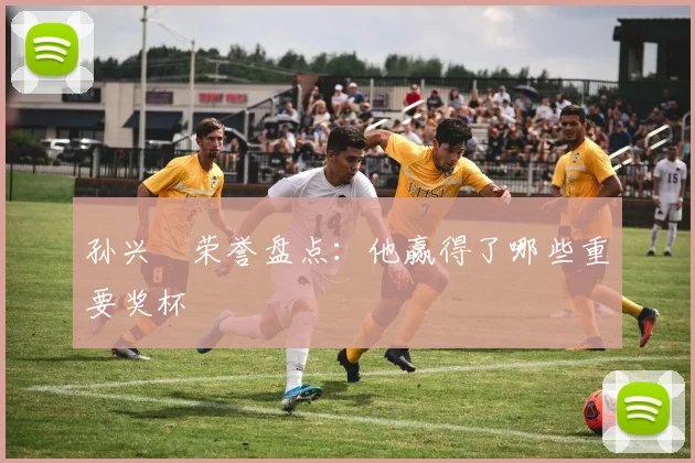 孙兴慜荣誉盘点:他赢得了哪些重要奖杯